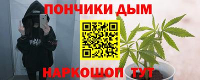 гашик Гусь-Хрустальный